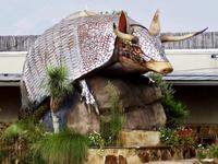 Goode Company Armadillo Palace