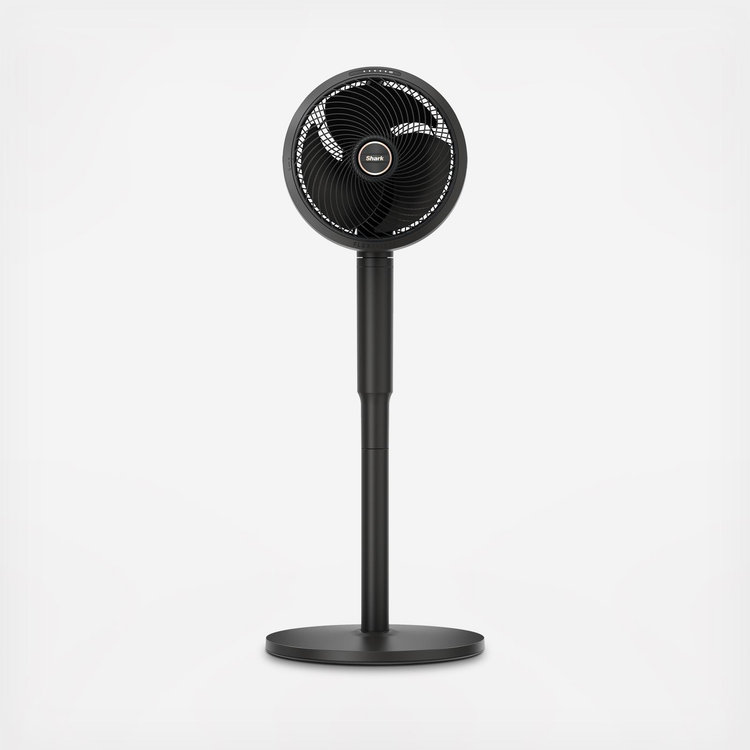 Shark, FlexBreeze Outdoor & Indoor Misting Fan | Zola