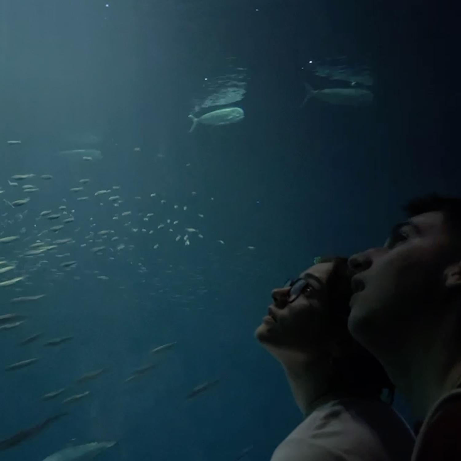 Monterey Bay Aquarium September 2022