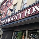 Snooty Fox