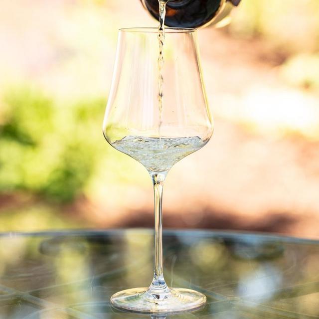 Gabriel-Glas Gift Box, 6 Wine Glasses