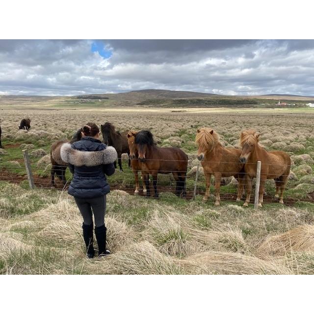 Erik discovered that Debbie is a horse whisperer!