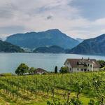 PASSENGER DIARIES SWITZERLAND TOURS AND EXPERIENCES