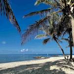 Fort Zachary Taylor Historic State Park Beach