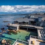 Monterey Bay Aquarium