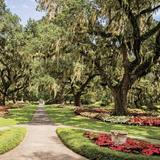 Brookgreen Gardens