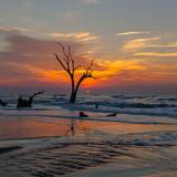 Boneyard Beach at Bulls Island