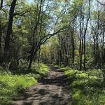Catskill Scenic Trail