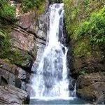 El Yunque National Rainforest