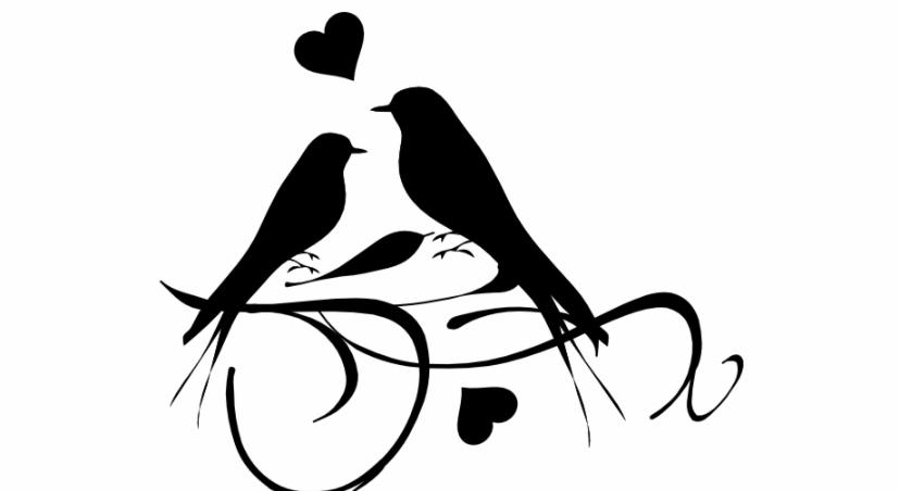 Footer image