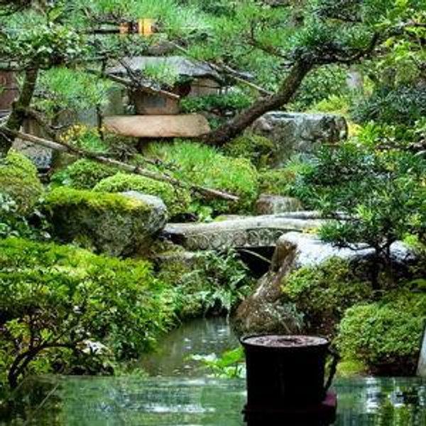 Honeymoon Activity Fund