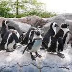 Mystic Aquarium