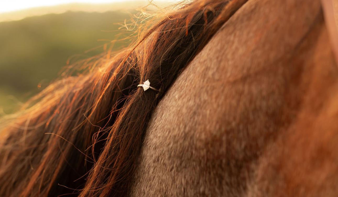 Hero Slideshow Image 4