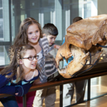 Beneski Museum of Natural History