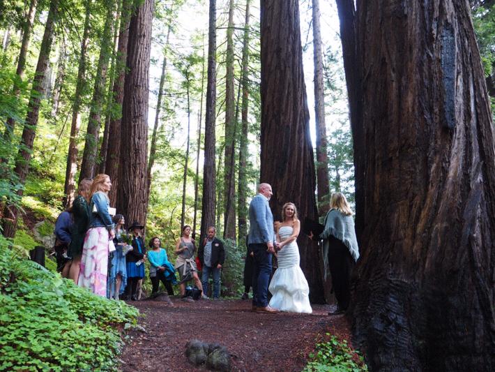The Wedding Website of Aimée Pedersen and Craig Schmelter