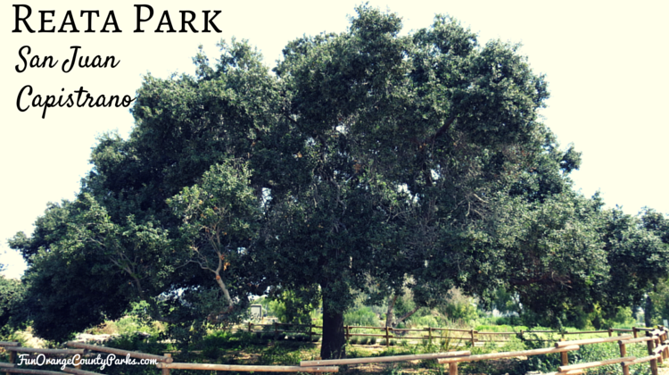 The Wedding Website of Jenny Hurst and Zack Pio