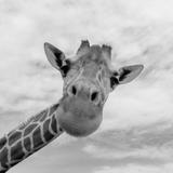Columbus Zoo and Aquarium