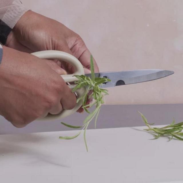 Shear Genius: Steam