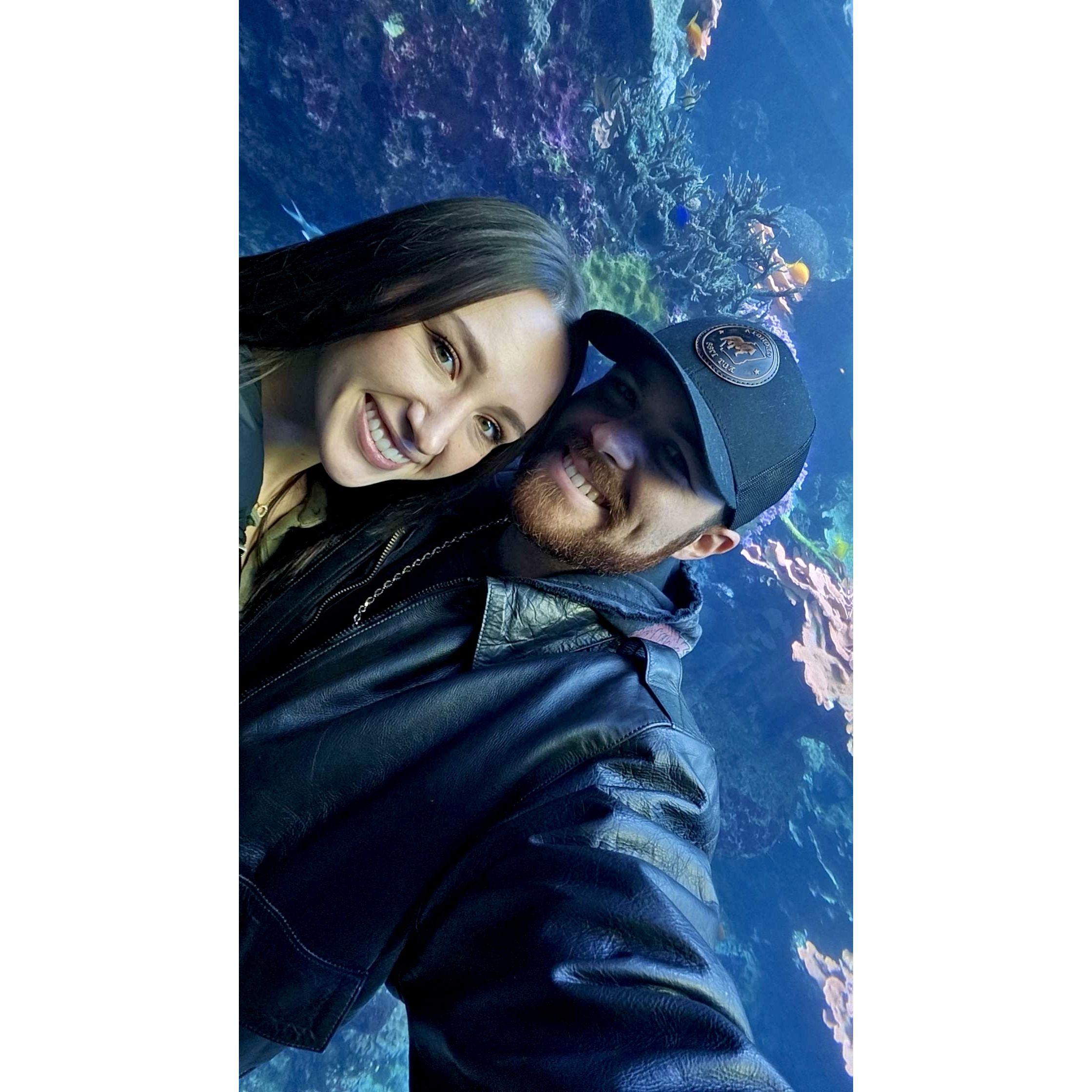 Georgia Aquarium