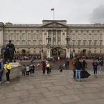 Buckingham Palace Road