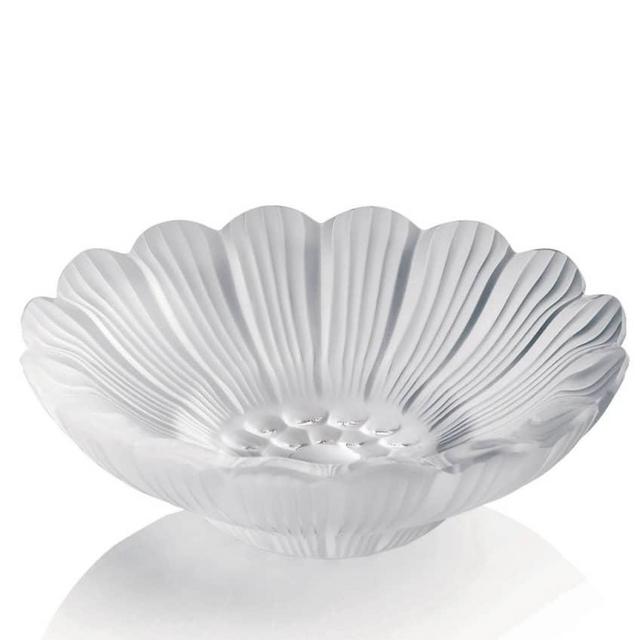 "Paquerettes" Dish