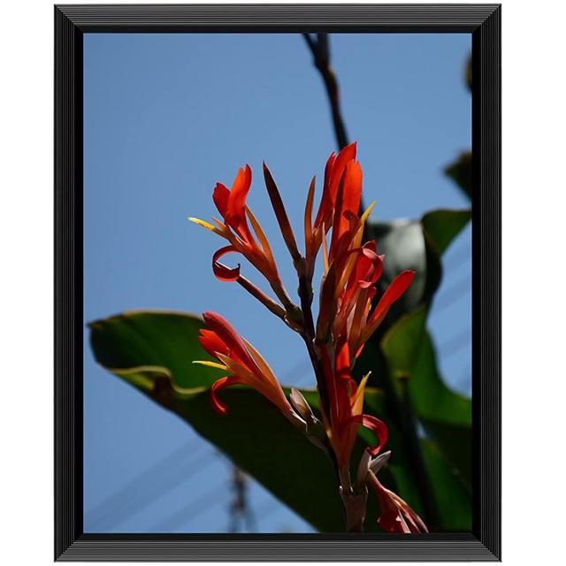 Uzifa 11x14 Picture Frame Photo Poster Frame Picture Frames 11x14- Safety high transparent PC sheet NON GLASS without Mat for Display Certificate as Wall Mount Frame V21114G – BLACK
