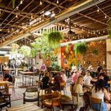 Casual Animal Brewing Co