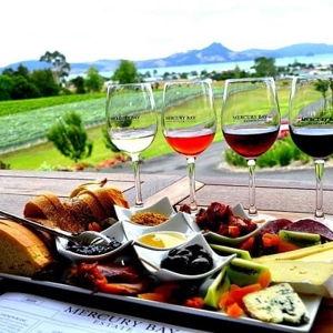 Wine tour on the South Island!