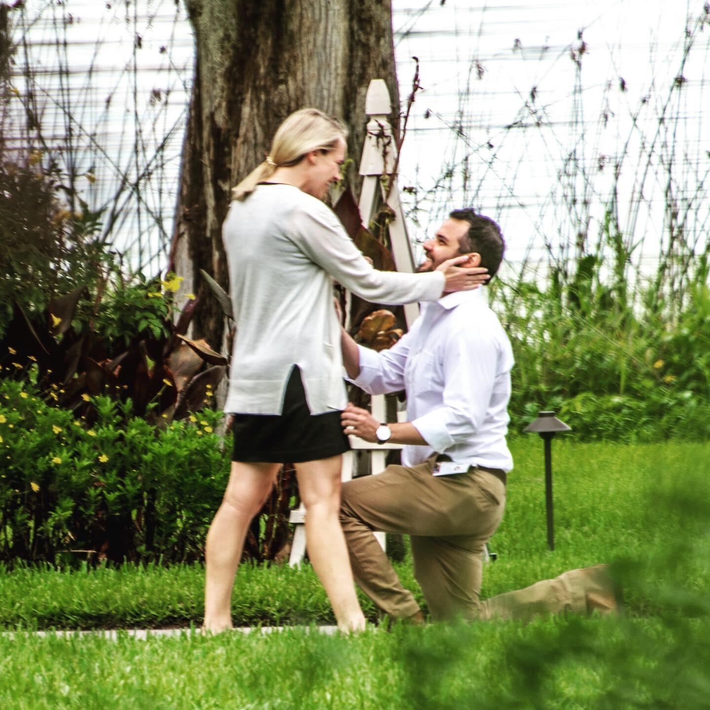 Proposal at Capen House June 2019