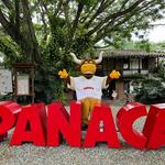 Panaca