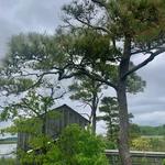 Eastern Neck National Wildlife Refuge
