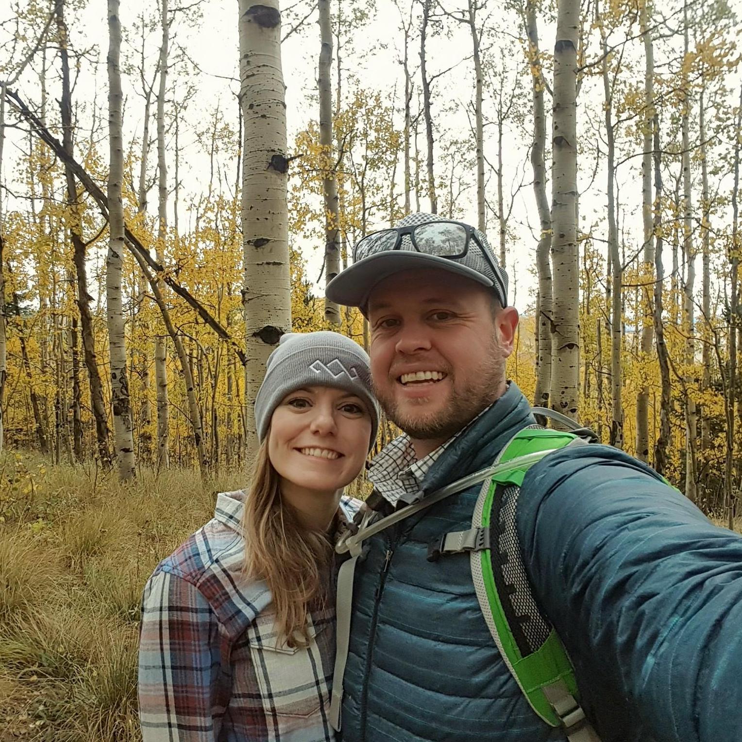 Golden Aspens in the Colorado fall.