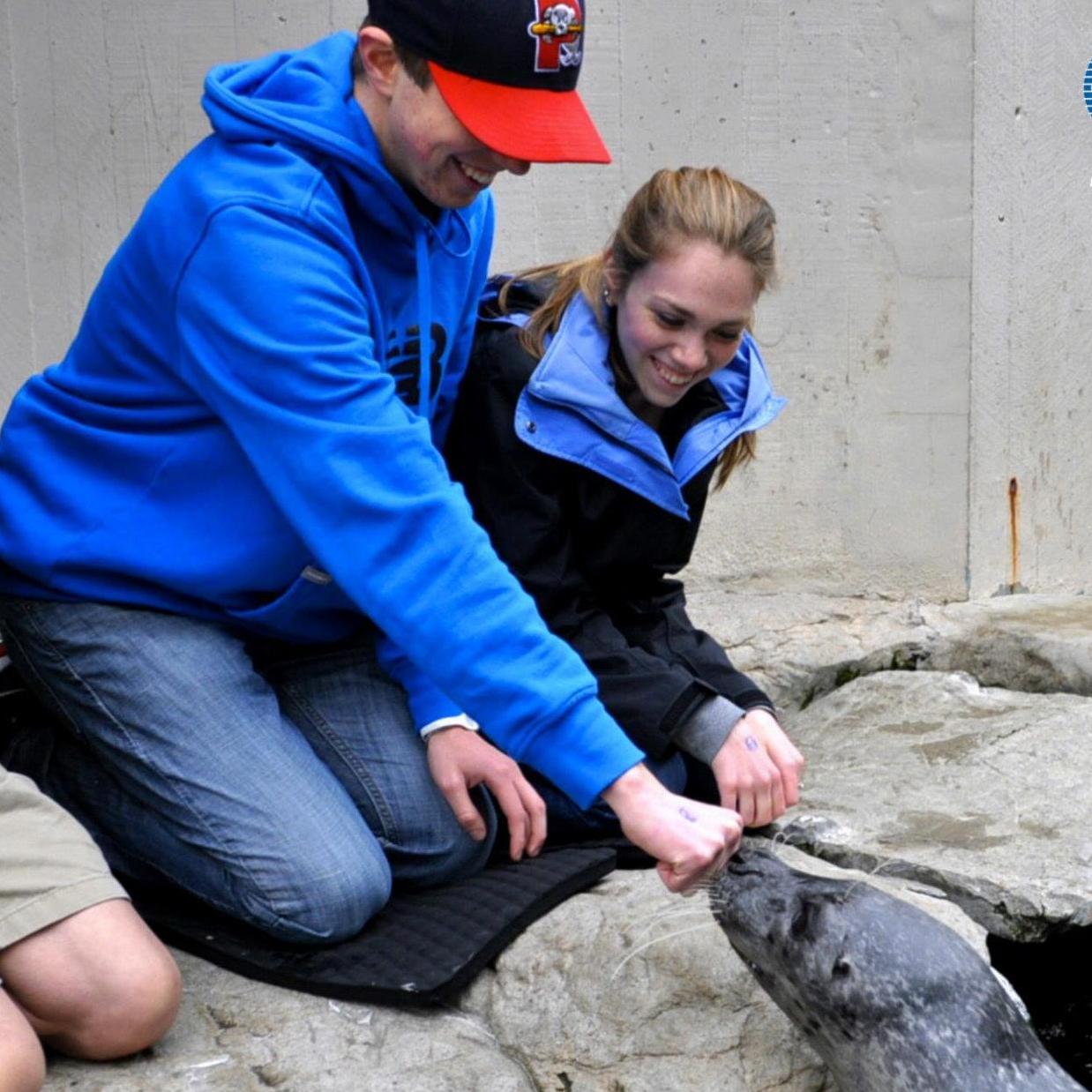 One time we paid way too much money to meet the seals at the Aquarium. This guy's name was Chuck.