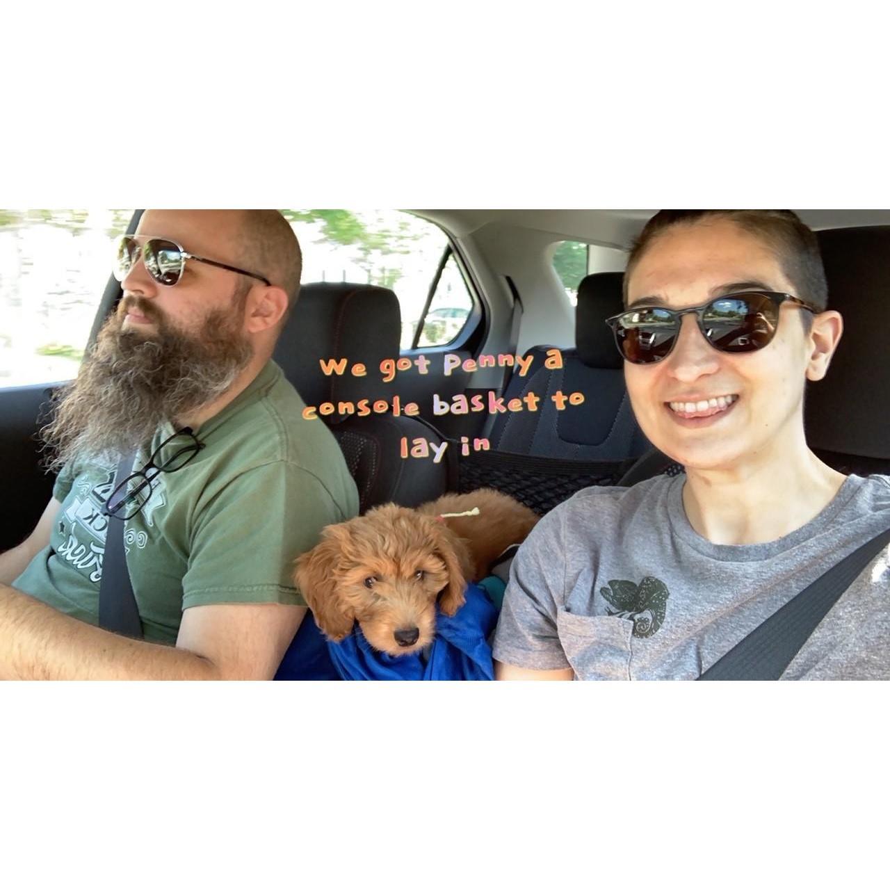 We got a golden doodle puppy named Penny!