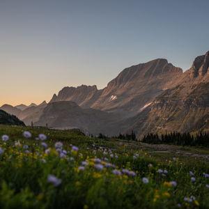 Our Montana Honeymoon