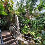Myriad Botanical Gardens