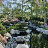 Japanese Friendship Garden and Museum