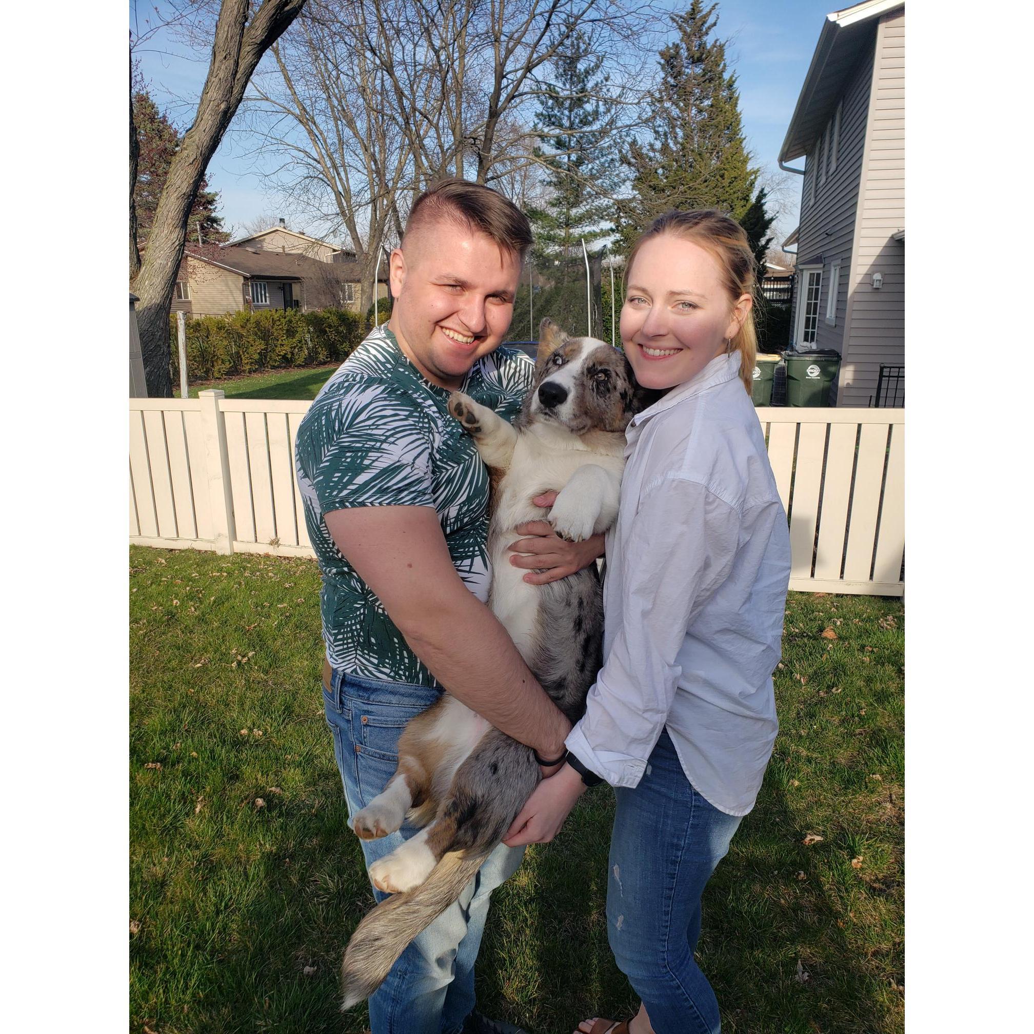 Remy came into our lives in February 2023