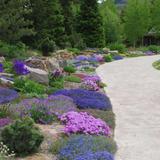 Betty Ford Alpine Garden