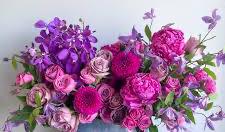 The Wedding Website of Nancy Rivera and Kenny Mizzi