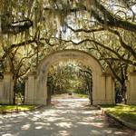 Wormsloe Plantation