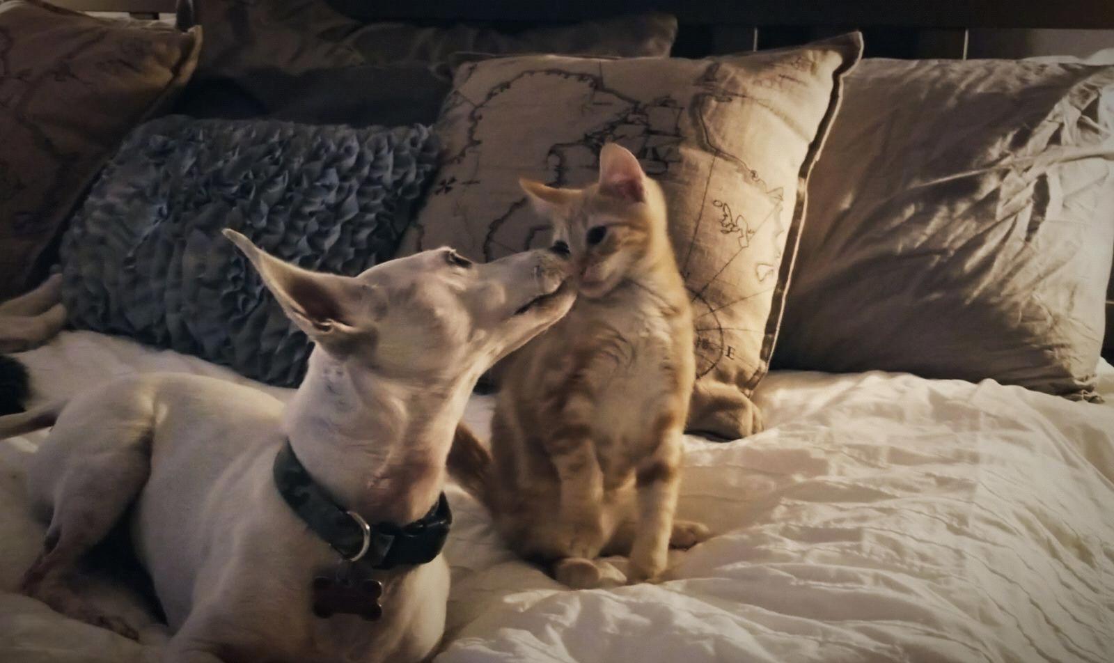 Jack and Khaleesi!