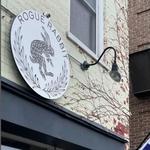 Rogue Rabbit