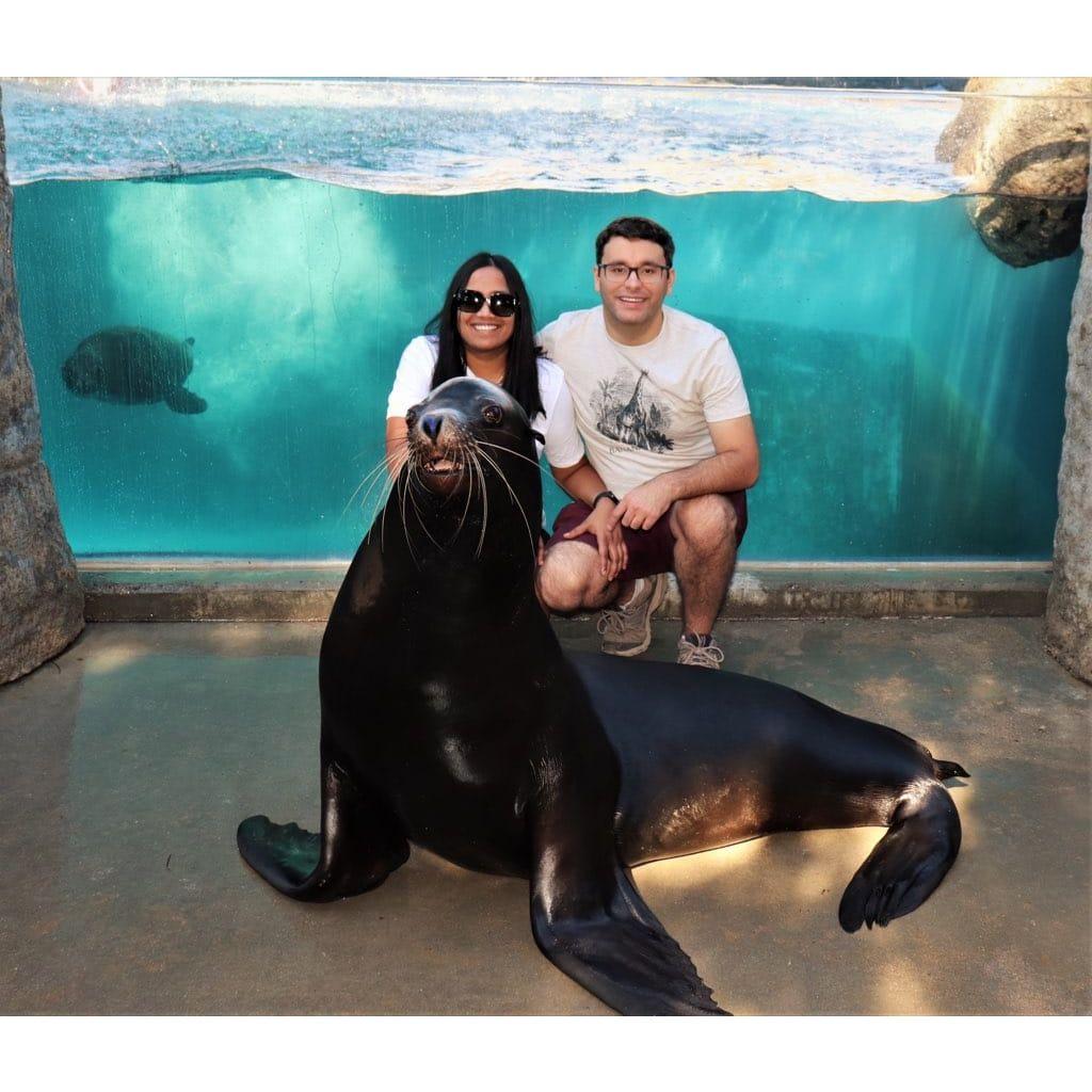Seal time