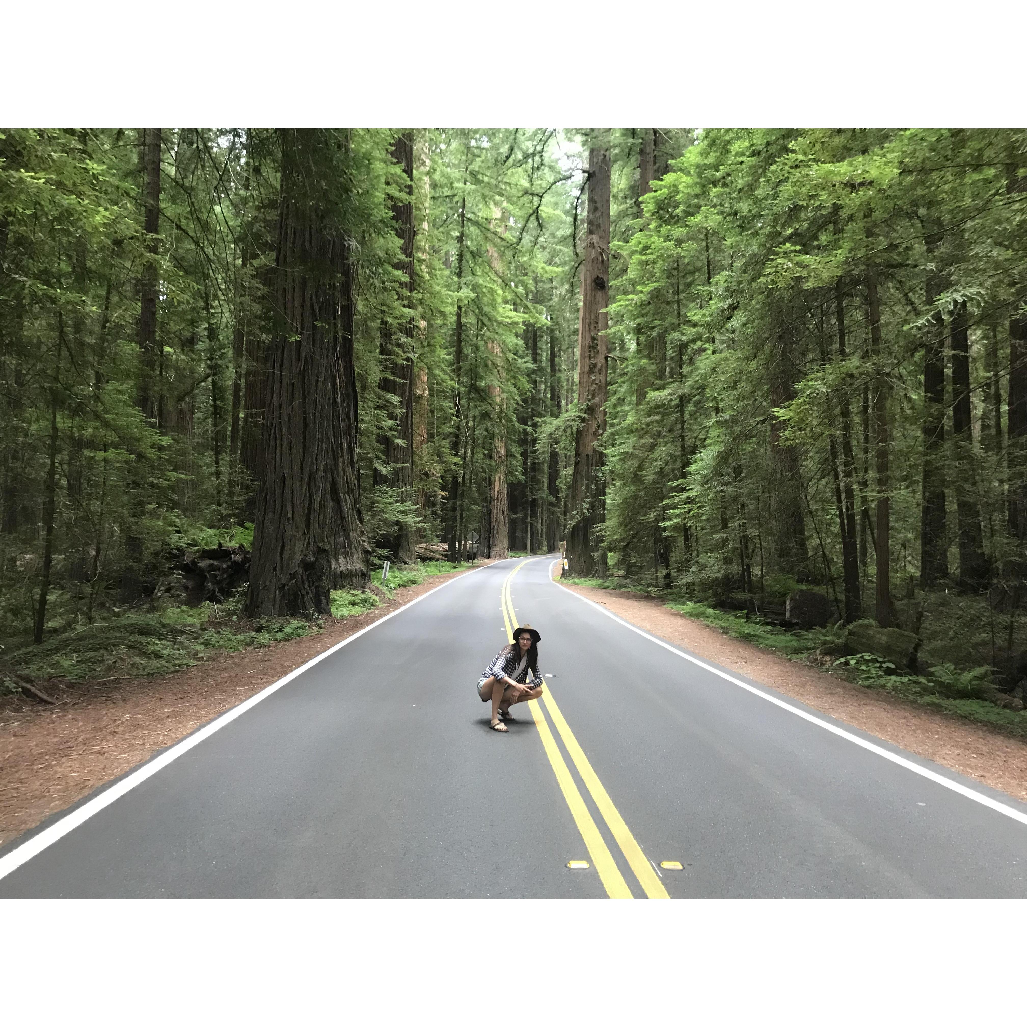 One of their favorite spots to visit is Redwood National Forest. Jacque shows the size of their majestic beauty while throwing up a sign in the middle of traffic. Circa May 2019.