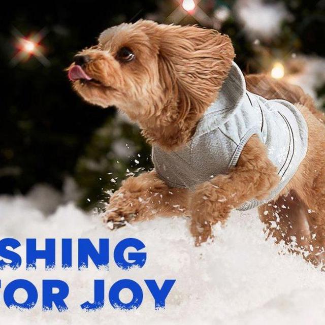 Chewy eGift Card
