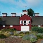 Frog's Leap Winery