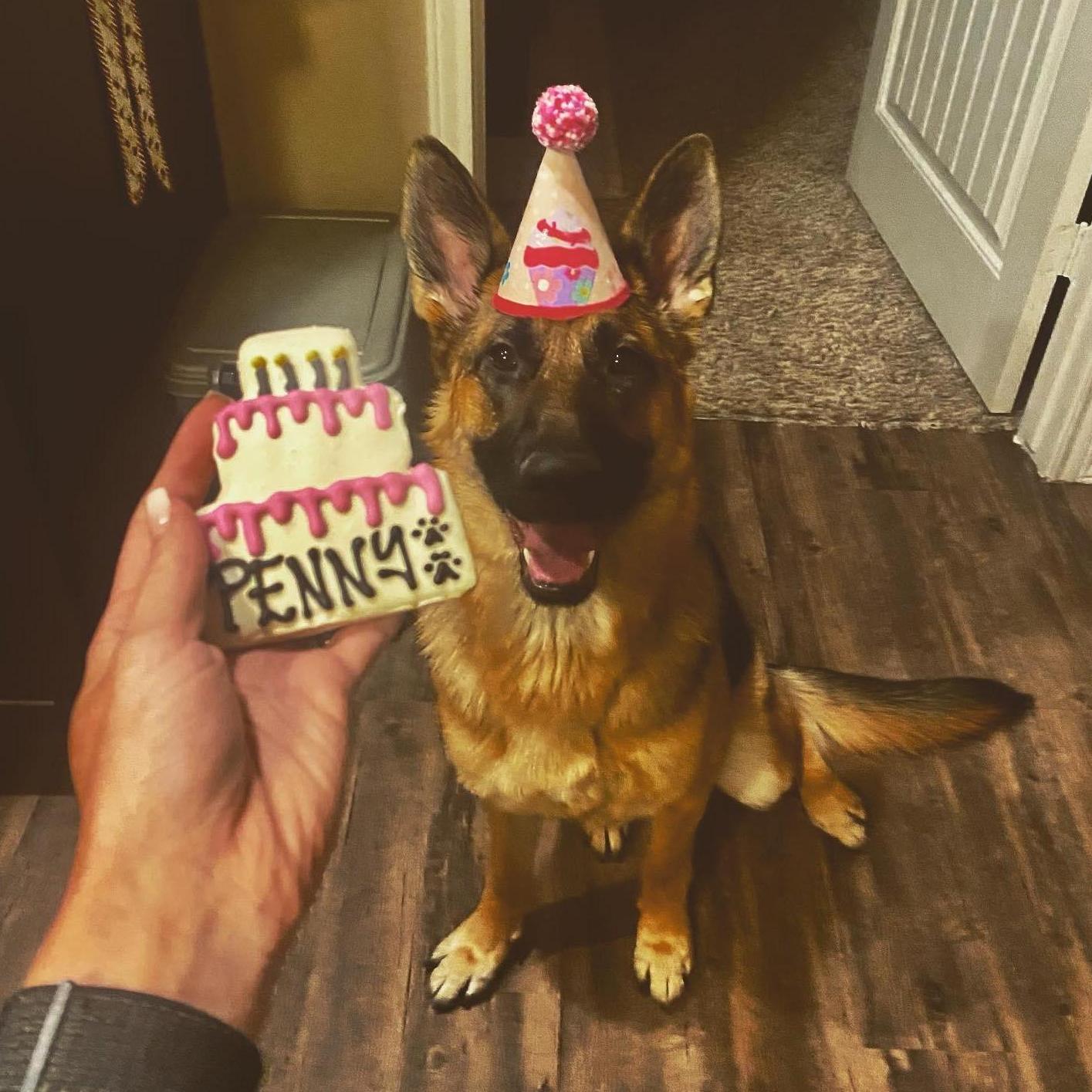 Penny's First Birthday, August 2021