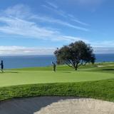 Torrey Pines State Natural Reserve