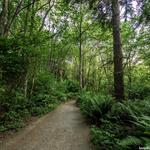 Discovery Park